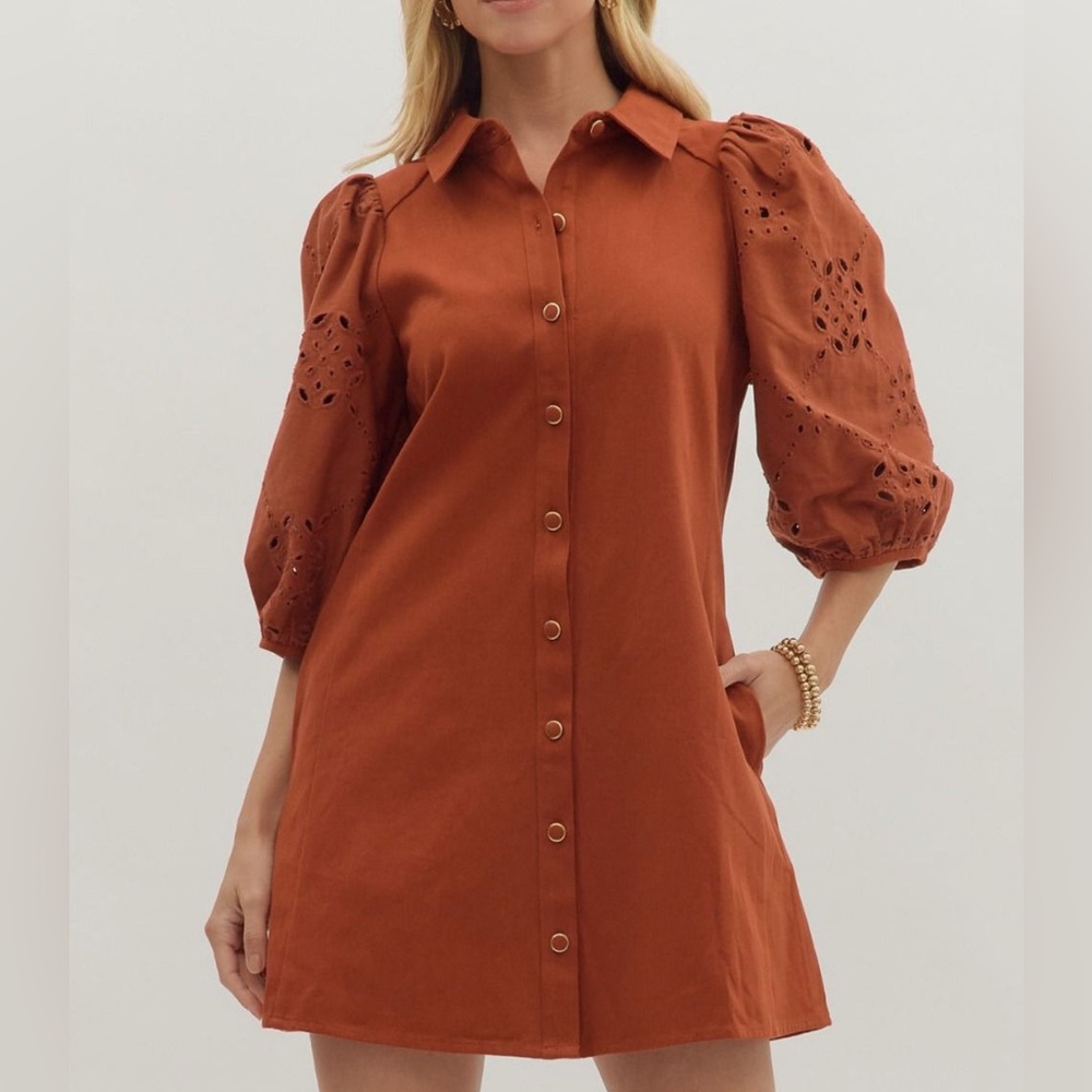 Entro Terracotta Button-Down Mini Dress